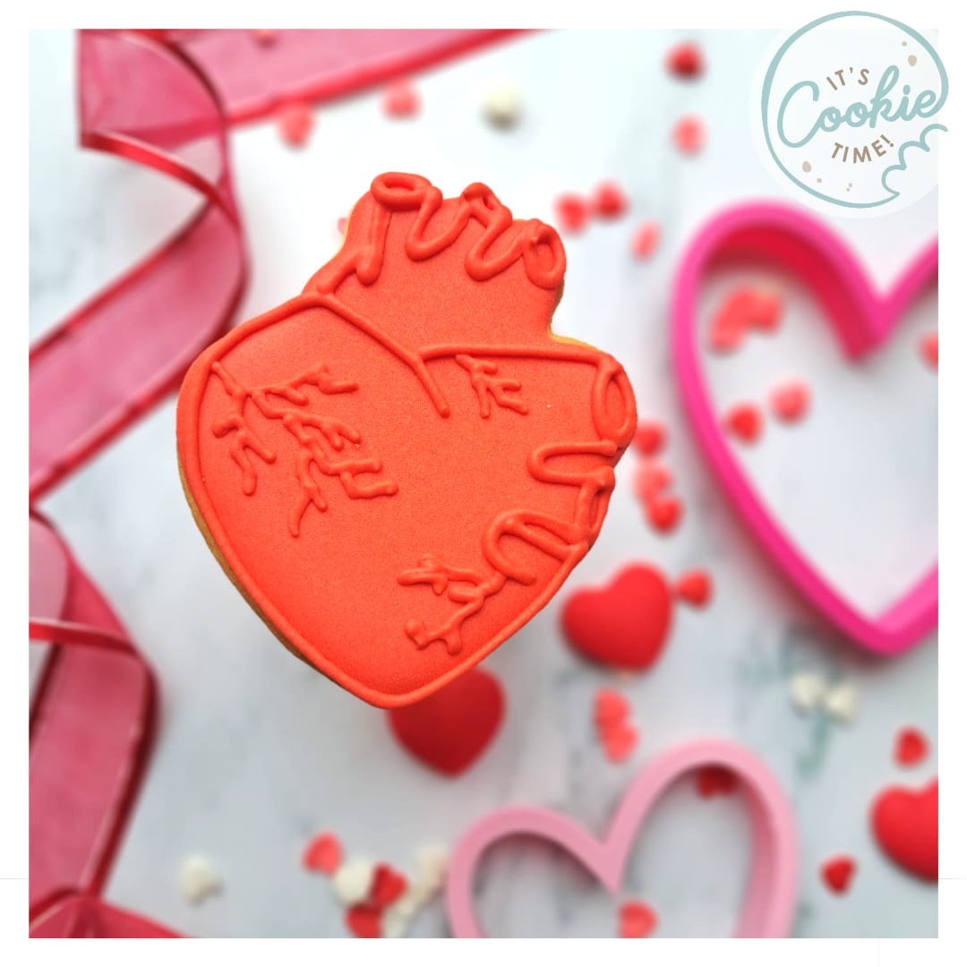 Anatomical Heart